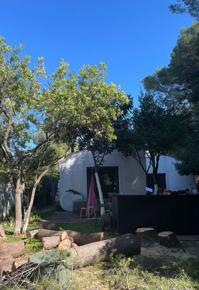 Troncs d'arbres coupés après l'abattage de pins à Castelnau-le-Lez, montrant l'état du jardin à la fin du chantier.