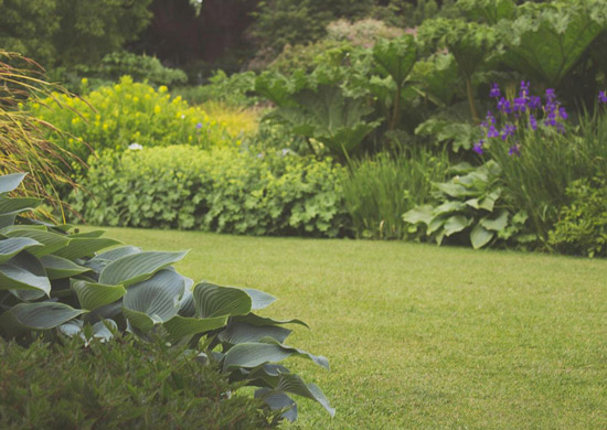 Entretien-jardin-Montpellier-tonte-pelouse Jardin verdoyant avec pelouse entretenue et massifs fleuris, exemple de service de jardinage à Montpellier