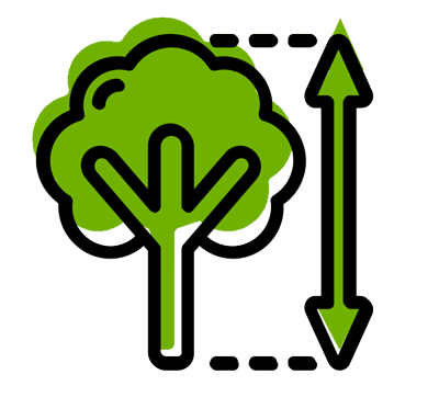 Picto d'un arbre et d'une fleche indiquant la taille de l'arbre